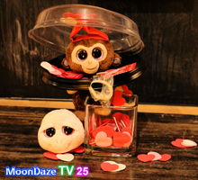 MoonDaze TV 25 - Photo 04 Thumbnail