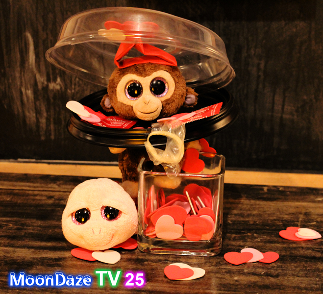 MoonDaze TV 25 - Photo 05
