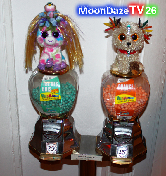 MoonDaze TV 26 - Photo 03