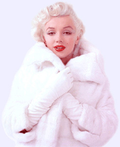 Marilyn Monroe - Picture 11